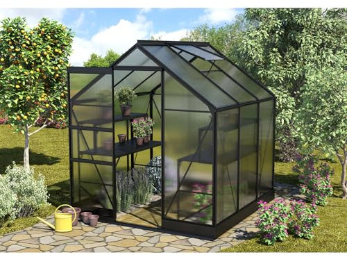 Vitavia Gewächshaus Apollo 3800, HKP 6mm, schwarz