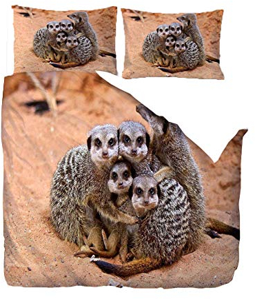 Bettbezug Set Bettwäsche 135x200CmTiergraues ErdmäNnchen Bettwäsche 3D Digital Print Microfaser Hypoallergen Drucken Bettbezug Set mit Reißverschluss und 2 Kissenbezüge,Schlafkomfort