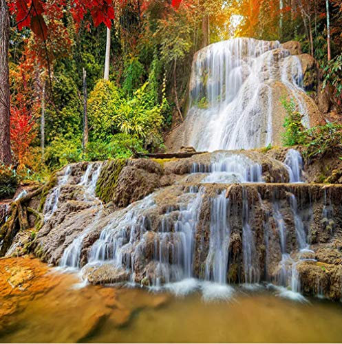 Photo Papier Peint Forêt cascade paysage 3D Intissé Décoration Murale XXL Poster Trompe l oeil Tableaux Muraux pour Salon Chambre Toile de Fond Mur 140x100cm