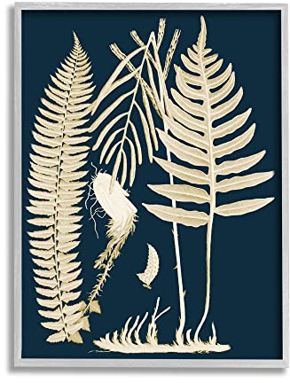 Stupell Industries Piddix Gerahmte Wandkunst, Motiv: Farne, botanische Wurzeln, modernes abstraktes Design, gerahmt, Design
