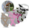 INAYA Flexi Halfter Professional Giant M, L, L10m, XL - Neon Rollleine (L10m / XL, Rosé Gold, Grau)