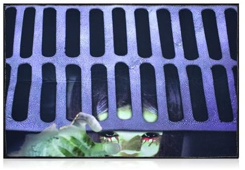 WHITHNYQ Halloween, Horror, Sewer Ghost Doormats - Non-Slip Declorable, Scary Welcome Entry, Indoor & Outdoor Use