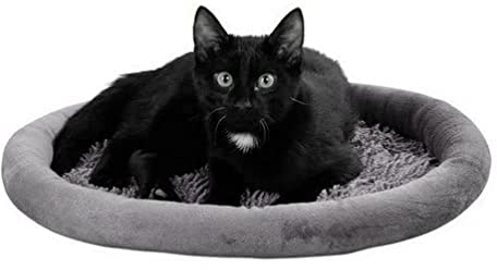 Kerbl Pet Kuschelbett Sweety, grau 48x40x4cm