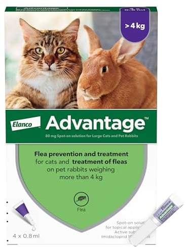 Advantage Spot On Flea Treatment For Large Cats and Rabbits Over 4kg (4 pipettes, 80mg), Kills Fleas Within 24 Hours, Prevents Further Infestation For Up To Four Weeks in Cats
