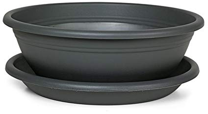 Floralo Pflanzschale mit Untersetzer, rund, mit Löchern im Boden - Schale Blumenschale Pflanzschale Plastikschale Kunststoffschale Untersetzer Topf (Anthrazit, Durchmesser 25 cm x Höhe 9 cm*)