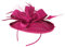 SOIMISS Fascinator Hut Stirnband Mesh Haarband Pillbox Hut Hairhoop Tee Party Headwear Kopfschmuck für Haar Zubehör Rosy