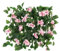 AMEEDA Balkon Sichtschutz Künstlicher Blatt-Sichtschutzzaun, Sichtschutz, Hecken, Zaun, Außenzaun, Wand, Landschaftsbau, Zaun, Garten, Hinterhof, Balkon, Zaunpaneel(Pink 0.4x2m)