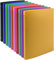 Conipa® 10er Set Ringordner & Ringbuch A4-Format (schmal) mit 4-Ringe-Meachanik - 10 Farben Ringmappe & Ordner Hefter für Dokumente, Unterlagen & Trennregister (aus PP) - Ringhefter für Schule & Büro