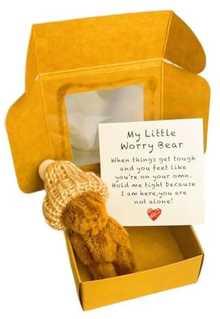 Generisch Kleiner Bär in Einer Schachtel, Mini-Plüschbär in Einer Schachtel, Fluffie Stuffies B-Bär-Puppe Little Pocket Hug, Mini-Plüschbär mit inspirierender Karte, Mitgefühlsgeschenk (B#)