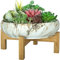 ARTKETTY Sukkulenten-Blumentopf, 25,5 cm, große Bonsai-Töpfe mit Drainageständer, Flacher Marmor-Kaktus-Blumentopf, Keramiktöpfe für Indoor/Outdoor, Sukkulenten, dekorative Gartenblumen-Pflanzschale