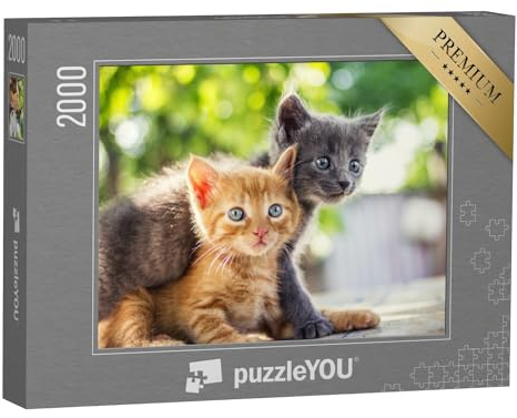 puzzleYOU: Puzzle 2000 Teile „Zwei Bezaubernde Kätzchen Spielen“ – aus der Puzzle-Kollektion Katzen-Puzzles
