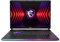 MSI Raider 16 16:10 QHD+ 240Hz Gaming Laptop - (Intel Core i9-14900HX, NVIDIA GeForce RTX 4070, 32GB RAM, 1TB SSD, Windows 11 Home) - Core Black