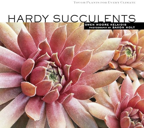 Hardy Succulents: Tough Plants for Every Climate