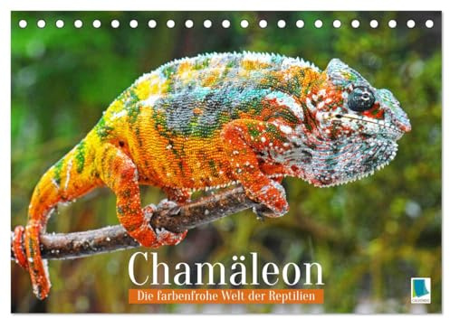 Chamäleon: Die farbenfrohe Welt der Reptilien (Tischkalender 2026 DIN A5 quer), CALVENDO Monatskalender