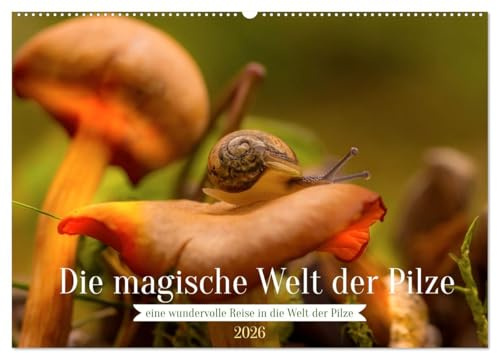 Die magische Welt der Pilze (Wandkalender 2026 DIN A2 quer), CALVENDO Monatskalender