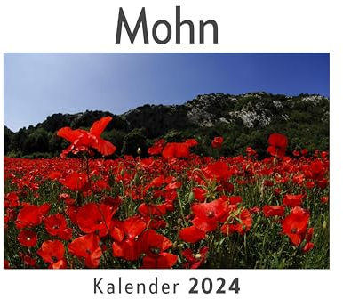 Mohn (Wandkalender 2024, Kalender DIN A4 quer, Monatskalender im Querformat mit Kalendarium, Das perfekte Geschenk)