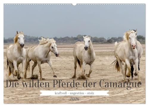 Die wilden Pferde der Camargue (Wandkalender 2026 DIN A2 quer), CALVENDO Monatskalender: Weiße Pferde leben immer noch in Freiheit in Südfrankreich (CALVENDO Tiere)