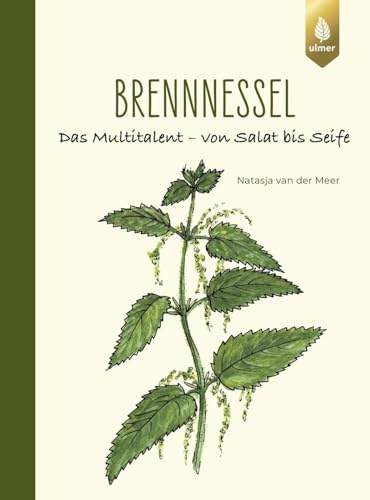 Brennnessel: Das Multitalent – von Salat bis Seife