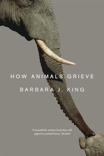 University of Chicago Press