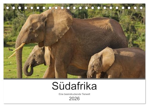 Südafrika - Eine beeindruckende Tierwelt (Tischkalender 2026 DIN A5 quer), CALVENDO Monatskalender: Die Wildtiere Südafrikas eindrucksvoll fotografiert (CALVENDO Tiere)