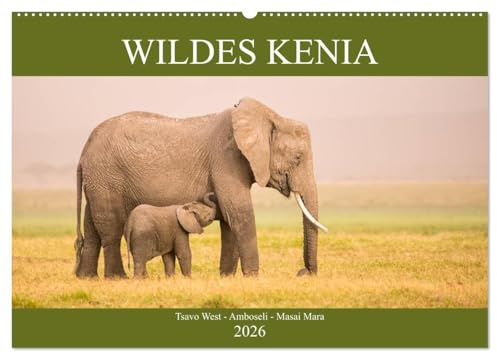 Wildes Kenia (Wandkalender 2026 DIN A2 quer), CALVENDO Monatskalender: Aus dem Leben der Tiere in der afrikanischen Wildnis (CALVENDO Tiere)