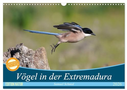 Vögel in der Extremadura (Wandkalender 2026 DIN A3 quer), CALVENDO Monatskalender: Die Extremadura - ein Vogelparadies (CALVENDO Tiere)