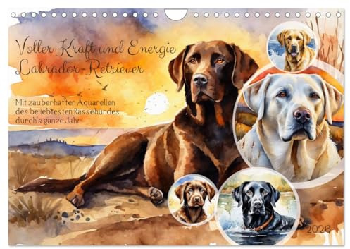 Voller Kraft und Energie - Labrador-Retriever (Wandkalender 2026 DIN A4 quer), CALVENDO Monatskalender: Mit zauberhaften Aquarellen des beliebtesten Rassehundes durch's ganze Jahr (CALVENDO Tiere)