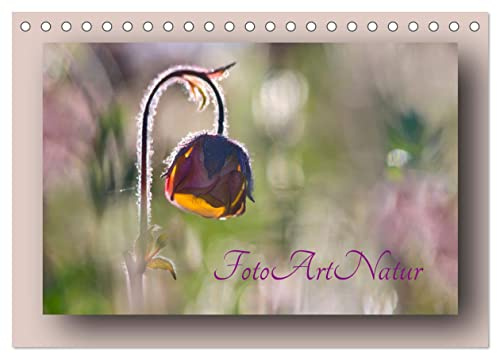 Foto-Art-Natur (Tischkalender 2026 DIN A5 quer), CALVENDO Monatskalender: Fotografische Leckerbissen aus der Natur, künstlerisch arrangiert. (CALVENDO Kunst)