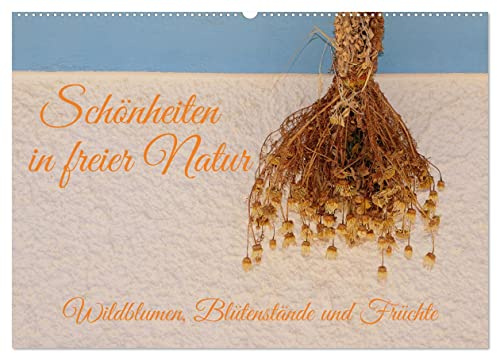 Schönheiten in freier Natur (Wandkalender 2026 DIN A2 quer), CALVENDO Monatskalender: Wildkräuter mit ihren Blüten und Fruchtständen (CALVENDO Natur)