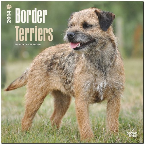 Border Terriers 2014: Original BrownTrout-Kalender [Mehrsprachig] [Kalender] (Wall-Kalender)