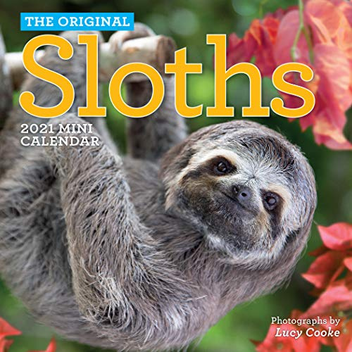 Original Sloths 2021 Calendar