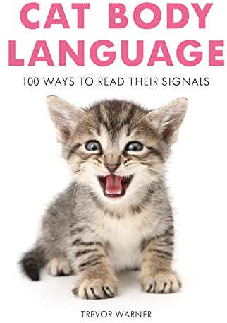 Cat Body Language: 100 Ways to Read Their Signals