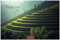 Thailand 2022 S 24x35cm