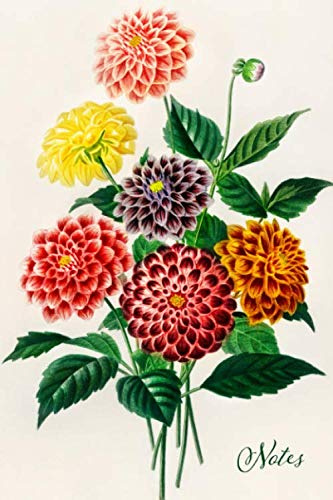 Notes: Dahlia Floral Blank Journal | Pretty Flower Bouquet Notebook | Vintage Retro Style Art