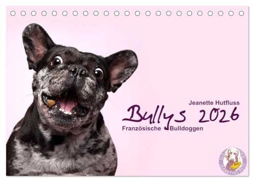 Bullys - Französische Bulldoggen 2026 (Tischkalender 2026 DIN A5 quer), CALVENDO Monatskalender: Kleine Hunde mit großem Herz (CALVENDO Tiere)