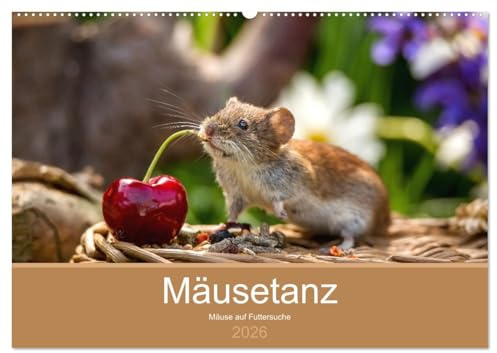 Mäusetanz (Wandkalender 2026 DIN A2 quer), CALVENDO Monatskalender: Mäuse auf der Futtersuche (CALVENDO Tiere)