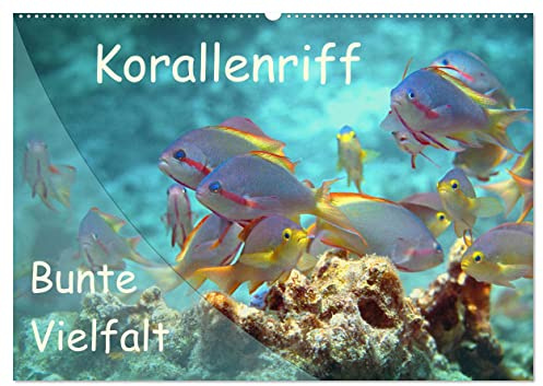 Bunte Vielfalt im Korallenriff (Wandkalender 2026 DIN A2 quer), CALVENDO Monatskalender: Farbexplosion im Korallenmeer! (CALVENDO Natur)