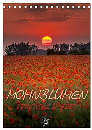 Mohnblumen - kraftvoll und zart (Tischkalender 2026 DIN A5 hoch), CALVENDO Monatskalender: Blühender Mohn das ganze Jahr über - zauberhaft! (CALVENDO Natur)