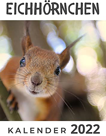 Eichhörnchen: Kalender 2022