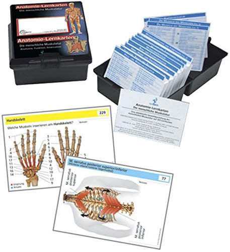 Anatomie Lernkarten Die menschliche Muskulatur: Anatomie-Lernkarten Anatomie, Funktion und Innervation