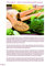 Ayurveda Alchemist: Die große Ayurveda Kochschule - Vollständig überarbeitete Neuauflage des Werks Der Schatz der Ayurveda Küche: Die große Ayurveda Kochschule. Vegan & Vegetarisch