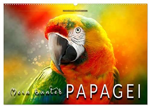 Mein bunter Papagei (Wandkalender 2026 DIN A2 quer), CALVENDO Monatskalender: Eindrucksvolle Bilder der exotischen Vögel. (CALVENDO Tiere)