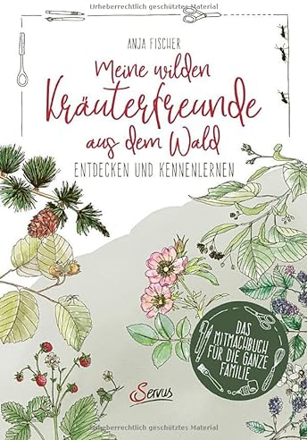 Meine wilden Kräuterfreunde aus dem Wald: Entdecken und kennenlernen