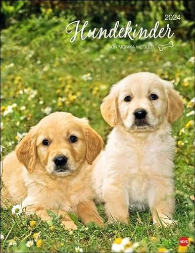 Hundekinder Posterkalender 2024 von Monika Wegler. Welpen-Fotos zum Dahinschmelzen in einem Wandkalender. Posterkalender mit Hundeporträts für alle Fans der Fellnasen.
