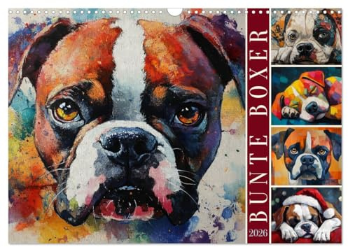 Bunte Boxer (Wandkalender 2026 DIN A3 quer), CALVENDO Monatskalender: Farbenfrohe Boxer-Portraits (CALVENDO Tiere)
