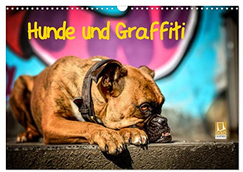 Hunde und Graffiti (Wandkalender 2026 DIN A3 quer), CALVENDO Monatskalender: Mit Hunden an bunten Graffitiwänden in der Stadt unterwegs (CALVENDO Tiere)