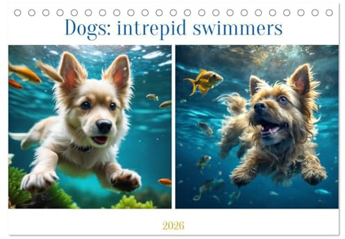 Dogs: intrepid swimmers (Desk Calendar 2026 DIN A5 landscape), CALVENDO 12 Month DeskCalendar: Discover the magic of dogs underwater. (CALVENDO Animals)