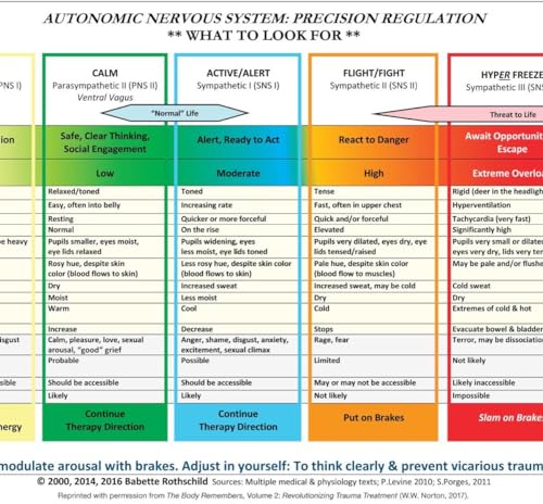 Autonomic Nervous System Table: Laminated Card