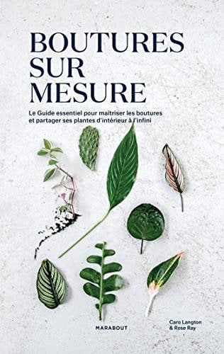 Bouture sur mesure: Le guide essentiel pour maîtriser les boutures et partager ses plantes d'intérieur à l'infini