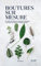 Bouture sur mesure: Le guide essentiel pour maîtriser les boutures et partager ses plantes d'intérieur à l'infini